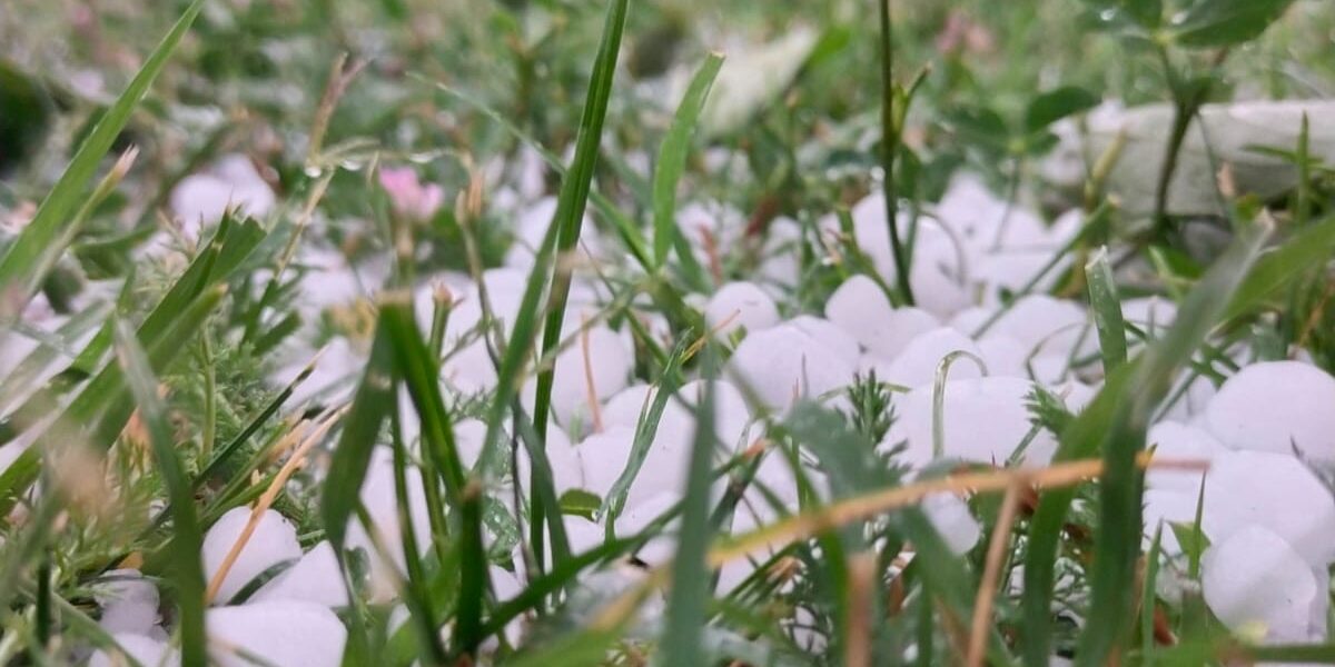 Ჩემი სამᲨობლო, საქარᲗველოა