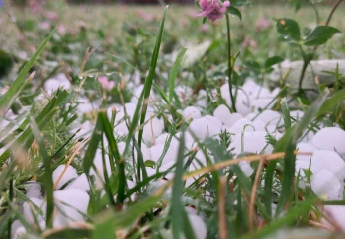 Ჩემი სამᲨობლო, საქარᲗველოა