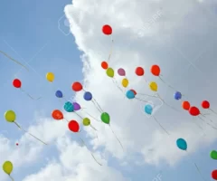 What I think about happiness